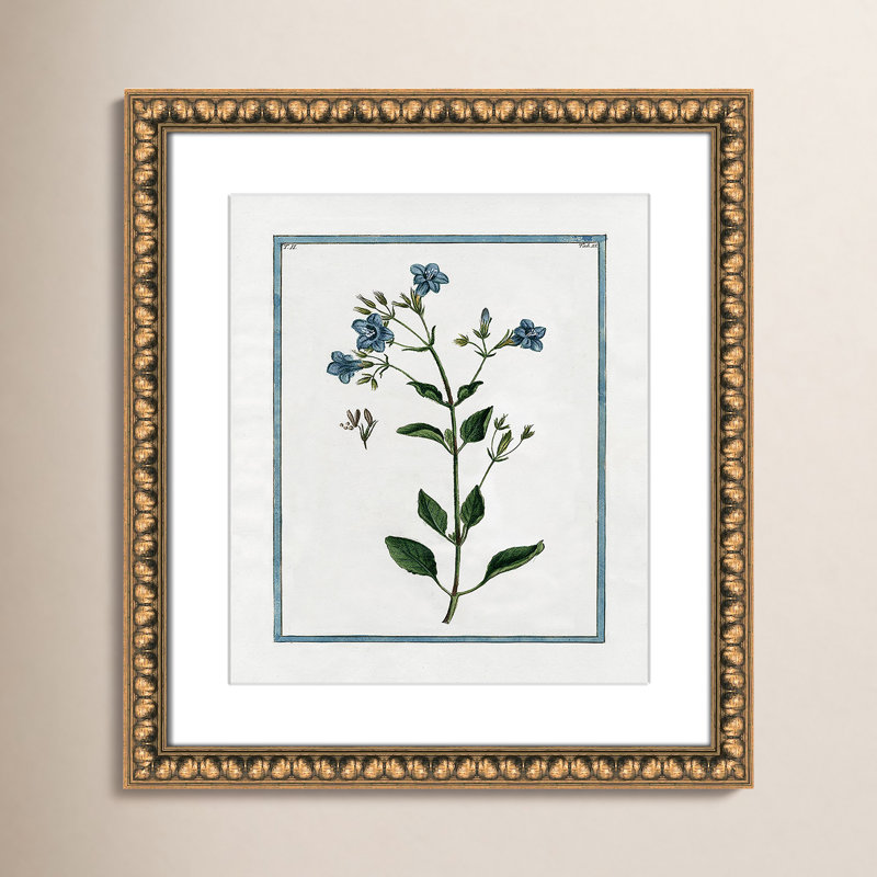Colombe Shabby Elegance Botanical II - Art encadré, Cadre en perle d'or, L 14 po x H 16 po