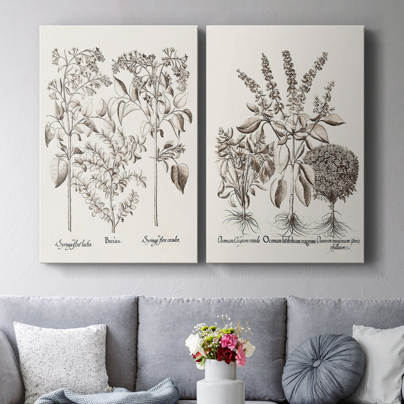 Toile tendue sépia Besler Botanicals I-Premium Gallery - prête à être accrochée, H 36 po x l 24 po