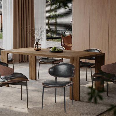 Mid-Century Modern Dining Chairs with Matte Metal Legs Set of 2