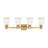 4 - Light Dimmable Vanity Light-88144407