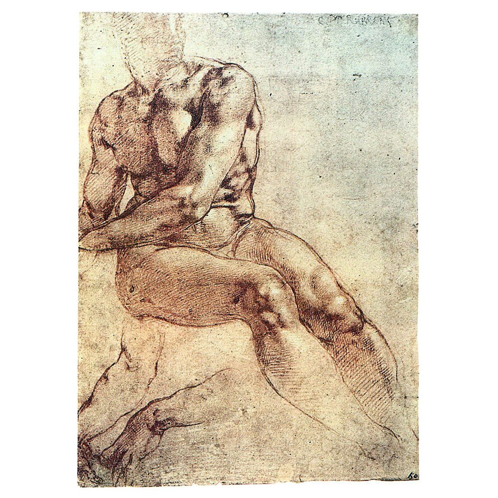 Leinwandbild Seated Young Male Nude and Two Arm Studies von Michelangelo