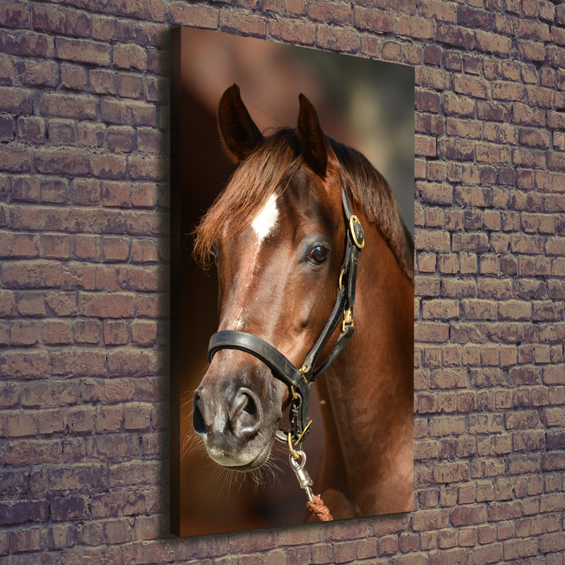 Portrait Of A Horse - Wrapped Canvas Print