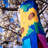Sunflowers 40-inch Windsock