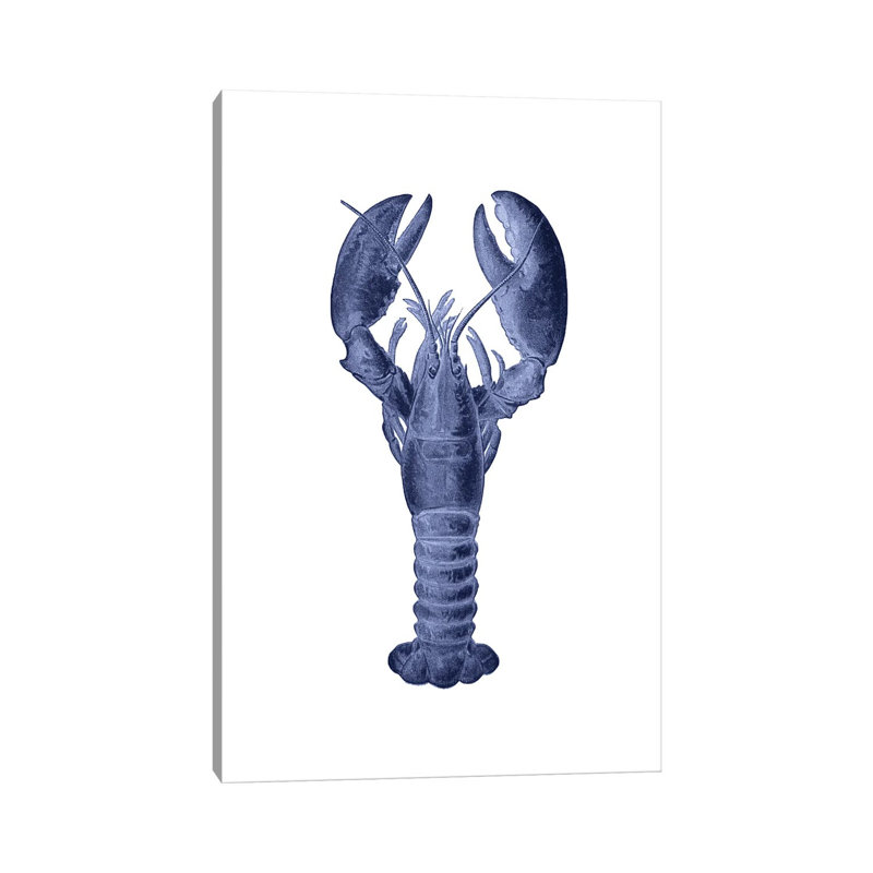 Homard bleu, H 18 po x l 12 po x 1,5 po