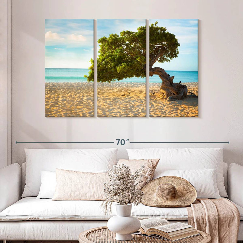 Arbre Gillard Divi-Divi à Aruba, H 32 po x l 50 po