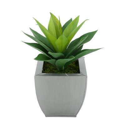 Plante grasse artificielle 7 po en pot