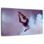 Ballerine bondissante-1949669815