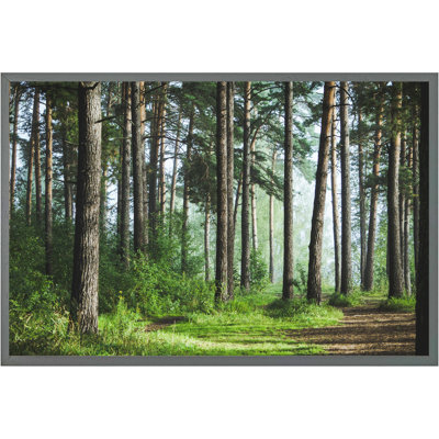 Dellroy Single Picture Frame Print