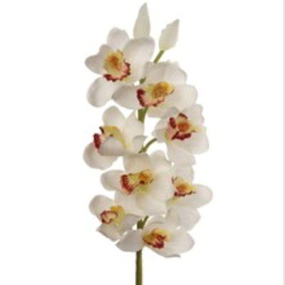 Tige d'orchidée 30 "Cymbidium 30" - paquet de 3