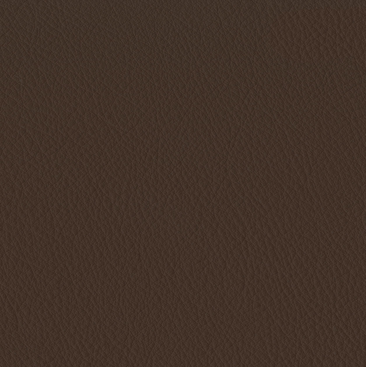 Elan Sable Sample