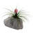 Ovalle Handmade Pot Planter