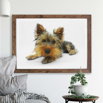 Yorkshire Terrier Dog - Framed Print