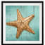 « starfish », impression encadrée-1242367231