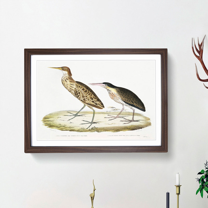 Two Herons by John Edward Gray - Picture Frame Painting Print, Walnut Framed, 27cm H x 36cm W x 2cm D