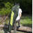 Folding Camping Chair