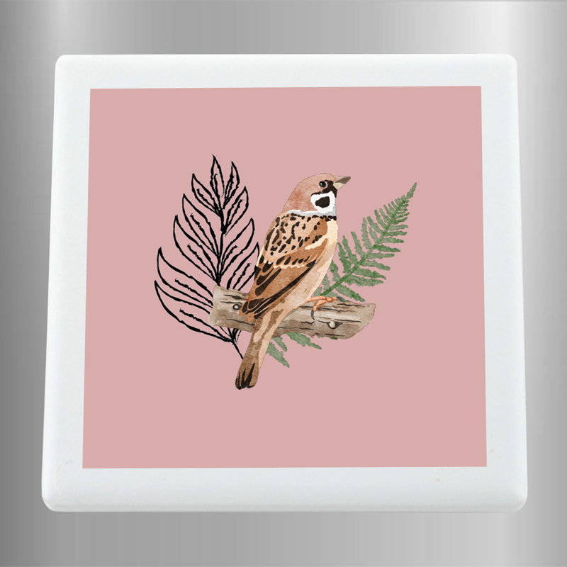 Formaran Animals Box Signs & Plaques