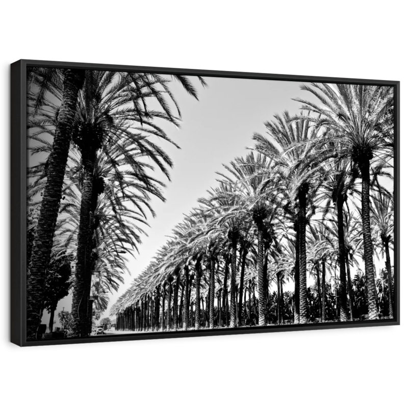 Faul Palms In Order Canvas Print, 9" H x 13" W