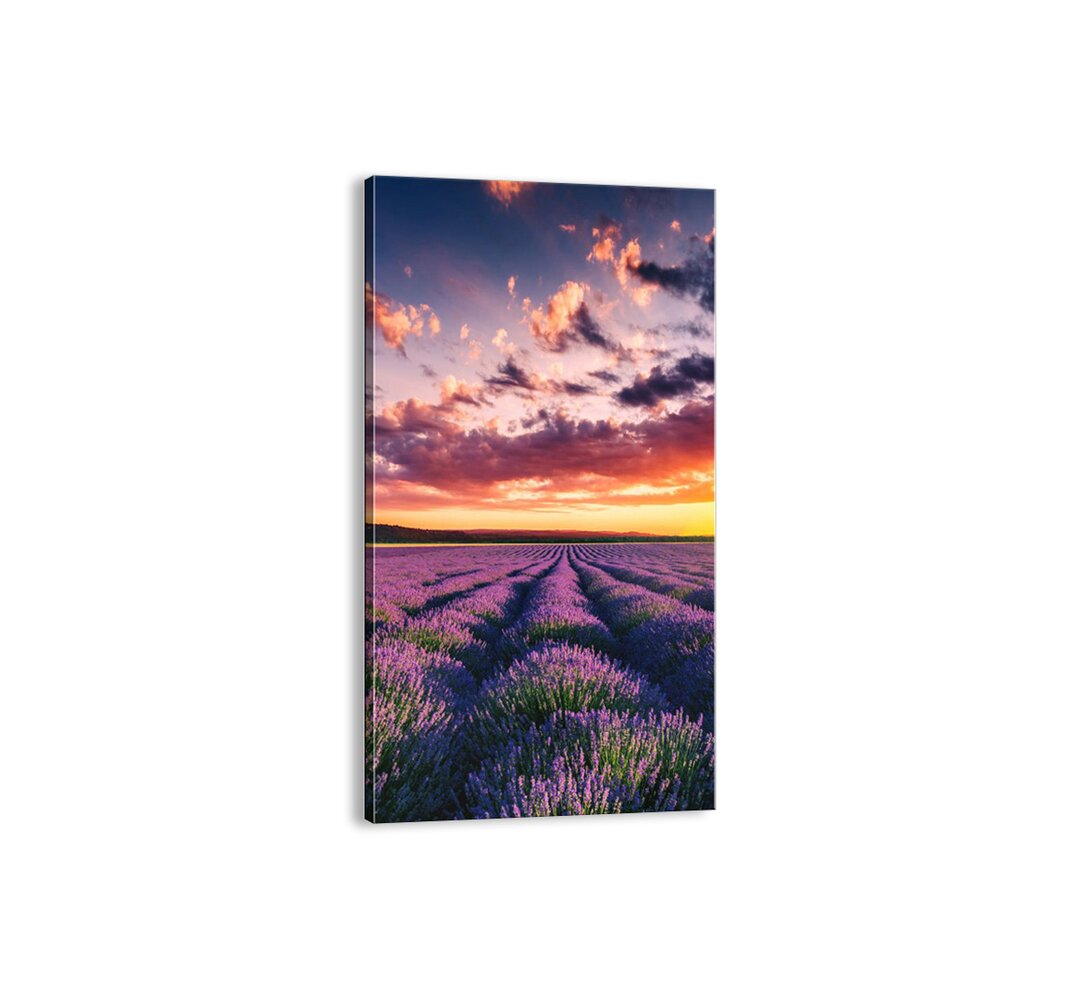 Leinwandbild - Fotografie „Lavender World”