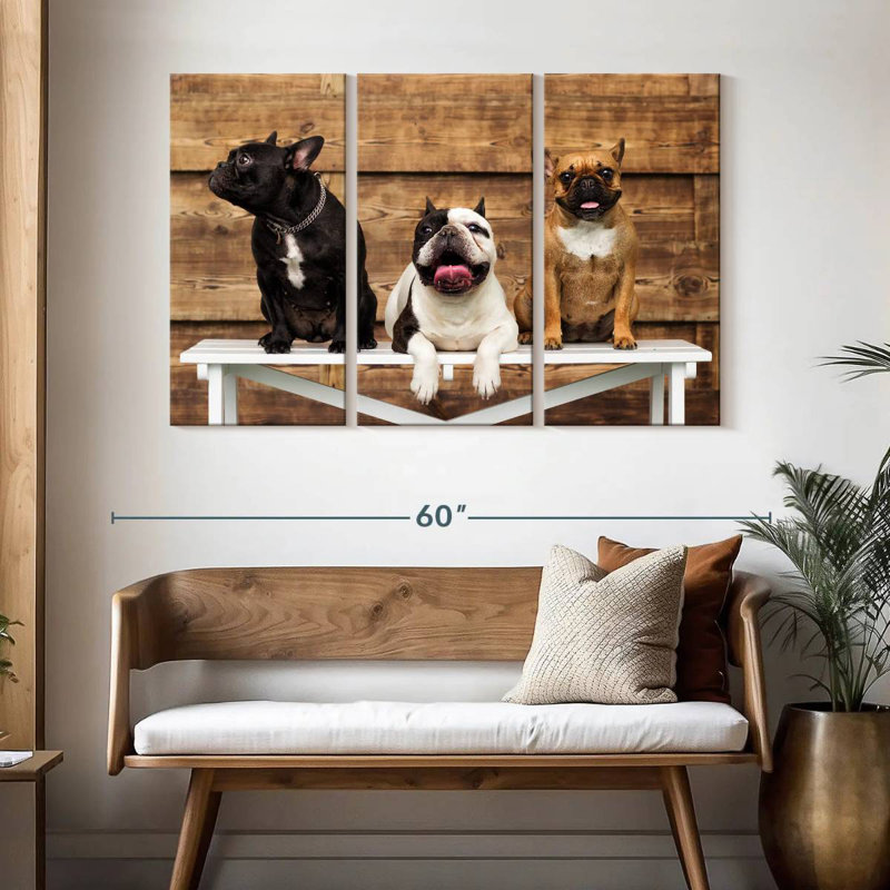 Brampt Bulldog Trio, H 32 po x l 50 po