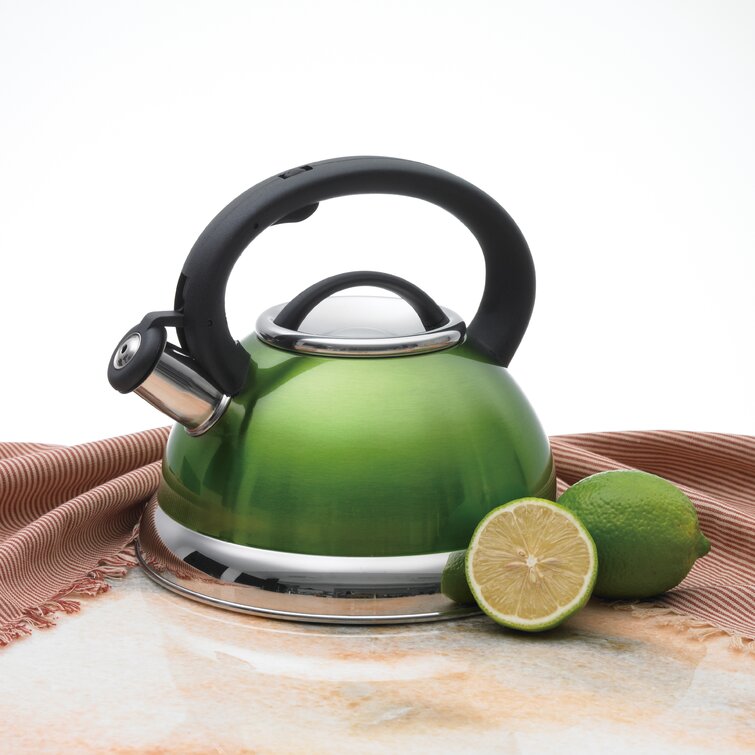 RETTBERG Tea Kettle for Stovetop Whistling Tea Kettles Modern Green  Stainless Steel Teapots, 2.64 Quart (Mint Green)