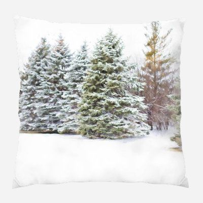 Canvas Outdoor Reversible Throw Pillow