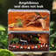 Terrarium acrylique transparent pour reptiles, avec couvercle coulissant, idéal pour gecko léopard, mygale et grenouille.