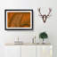 Leaf Veins - Picture Frame Photograph Print-55772189-55772195