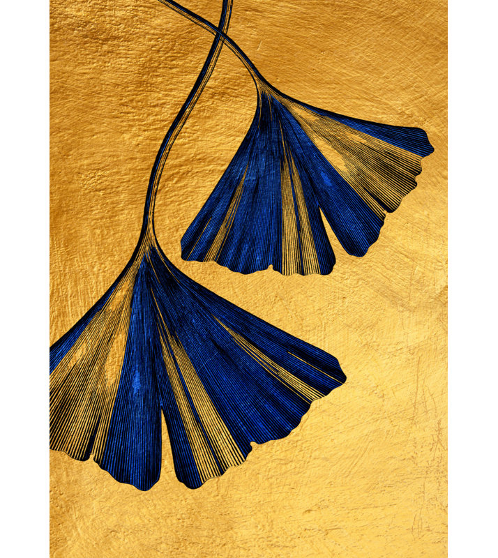 Wrapped Canvas Print, 76.2 cm H x 50.8 cm W