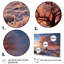 «Pink Tree Winters Sunrise Glow», impression d'art mural de paysages-312706141-312706140
