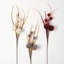 Perdue 3 Piece Pom Pom Spray Set