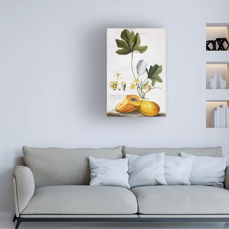 Art sur toile, Georg Dionysius Ehret, H 19 po x l 12 po
