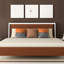 Coussin Bird Ave New York-7489287-7489289