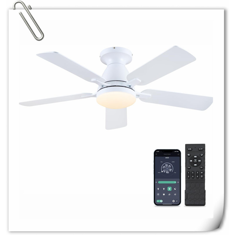 Museau Ceiling Fan with LED Lights, White