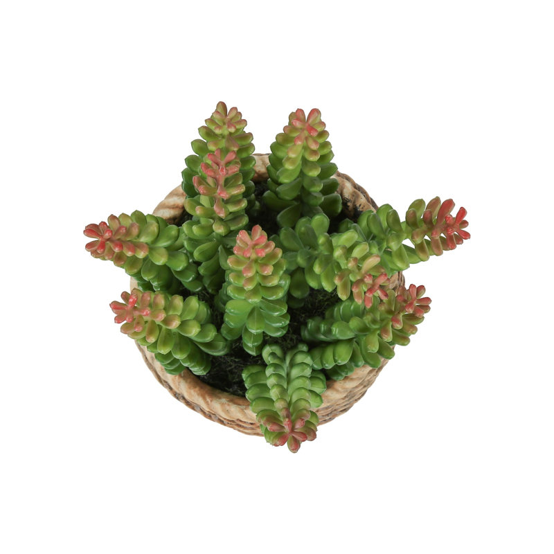 Artificial Succulent In Cement Pot