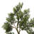 Artificial Potted Cedar Tree-27703821