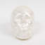 Capiz Skull, Pearl