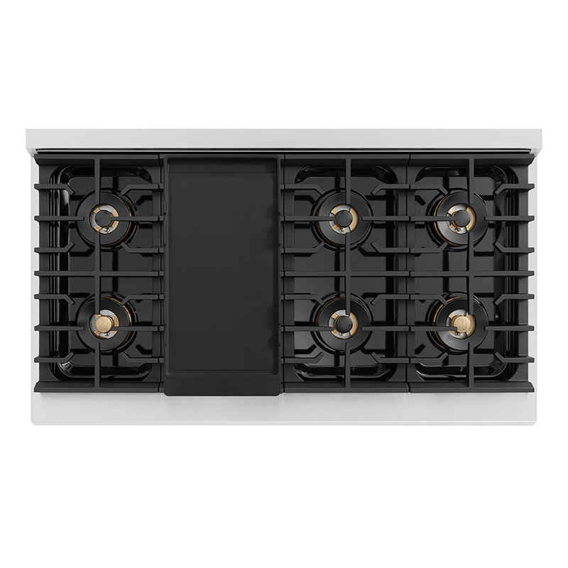 ZLINE 48 in. Paramount Dual Fuel Range with 8 Burner DuoPro Cooktop & Dual Ovens in Stainless Steel, Stainless Steel