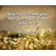 One Allium Way®, toile tendue par Jerry Reed: «Quand vous avez chaud, quand vous n'êtes pas