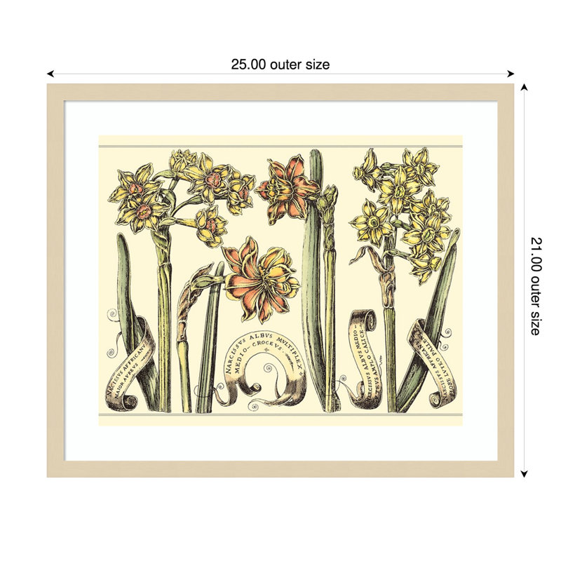 «Narcissus in Bloom II» par Mark W. Langlois, reproduction d'art encadrée sur bois, H 21 po x l 25 po