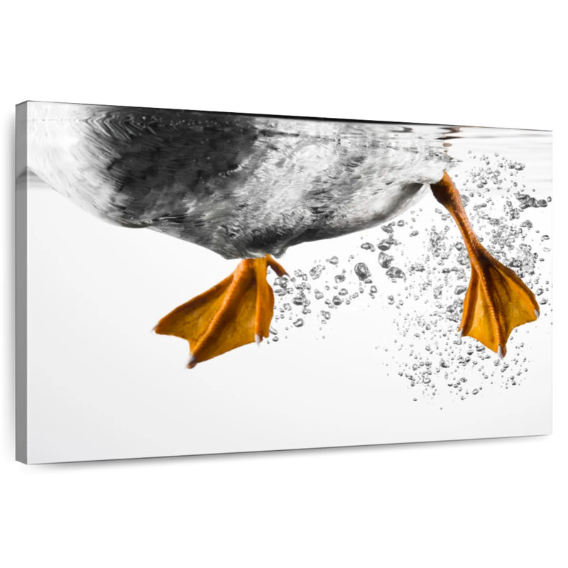 Brampt Duck Feet Underwater, 8" H x 12" W