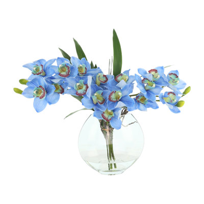 Orchidées disposées dans un vase en verre