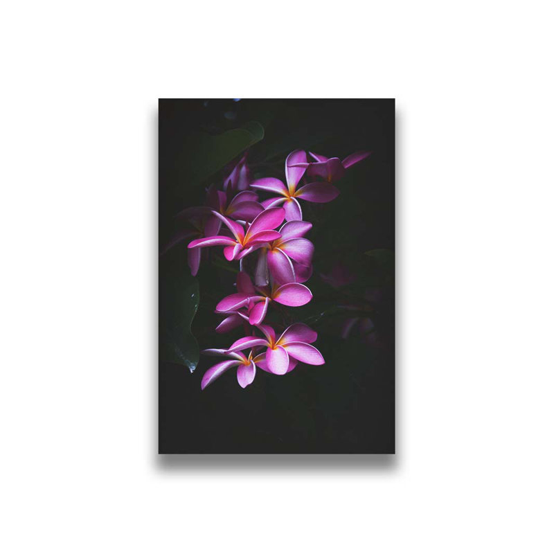 Maui Plumerias par Kelly Wade. Estampe numérique, H 30 po x l 45 po x P 1,5 po, Toile tendue
