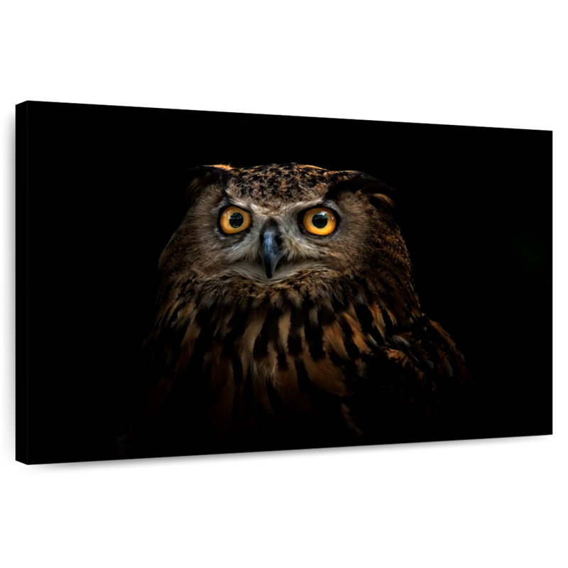 Brampt Owl Expression, 16" H x 24" W