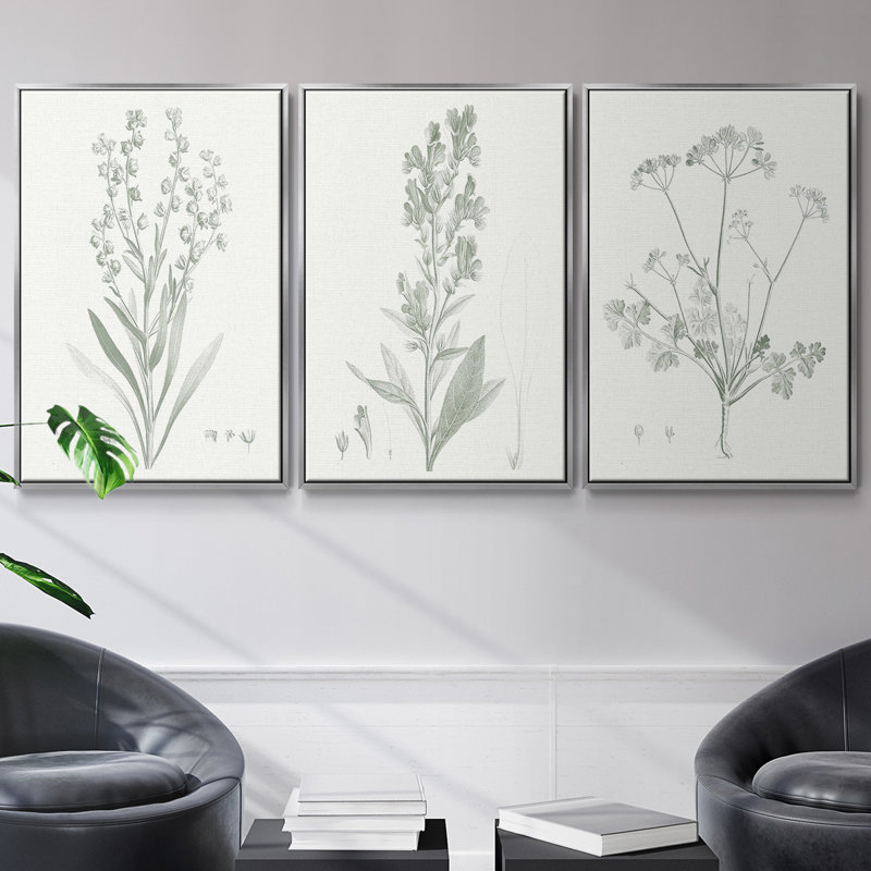 Étude botanique en sauge I 3 pièces, H 36 po x l 72 po, Argent