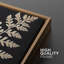«Vintage Fern Leaf Silhouettes Natural Botanical Rustic», 2 pièces sur toile-99016315-99016318