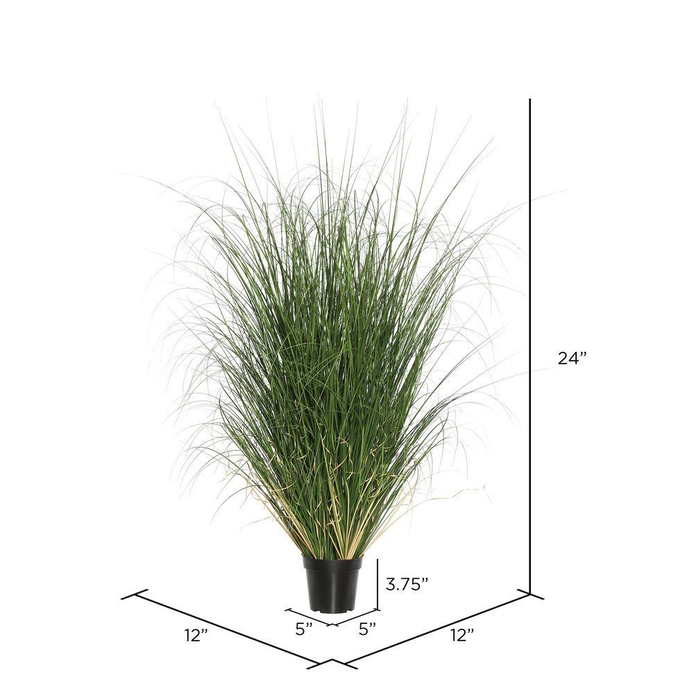Kellan Curled Grass Plant in Pot, 24" H x 12" W x 12" D