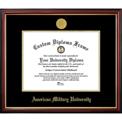 American Military University Petite Diploma Frame