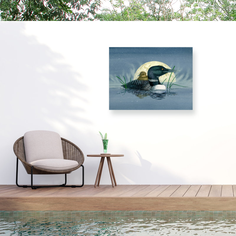 Toile d'extérieur Dave Bartholet Loon Moon, H 14 po x l 19 po