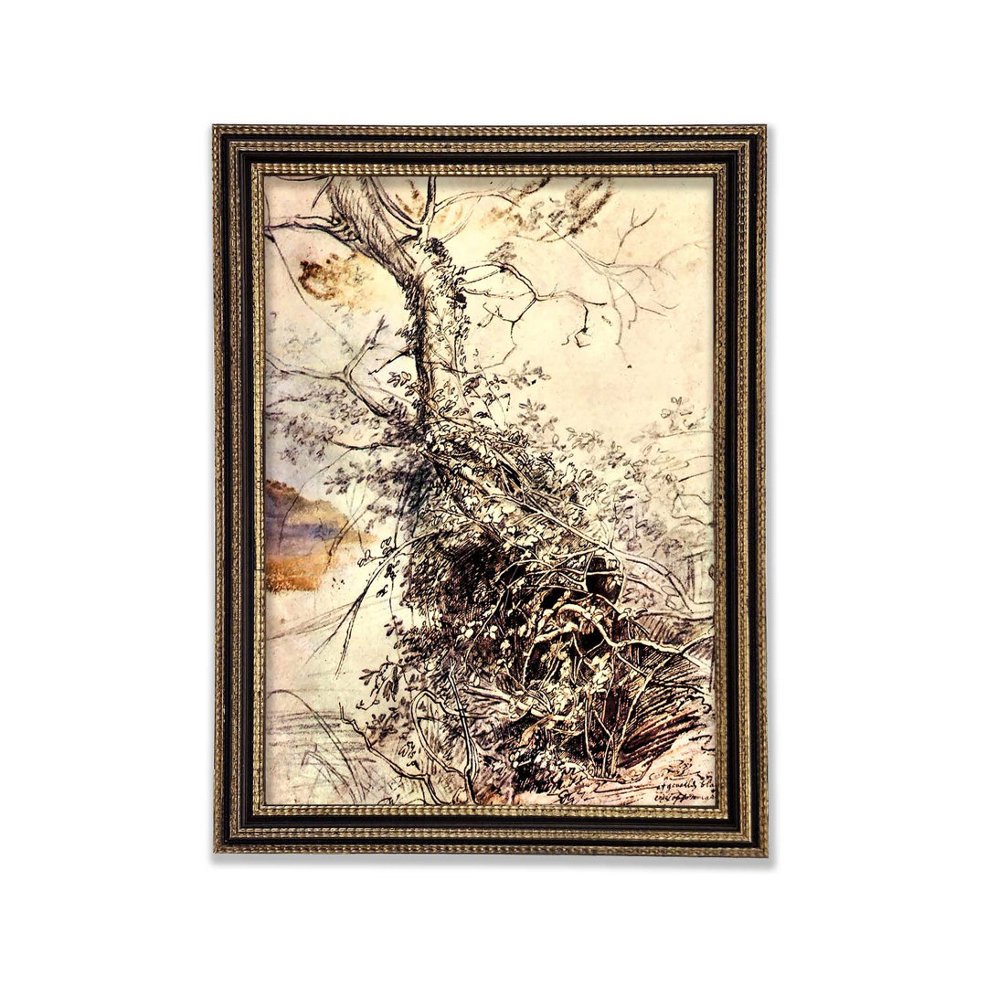 Gerahmtes Leinwandbild Rubens Study of Tree