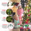 Arbre de Noël épinette vert avec lumières DEL-67403047